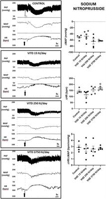 Vitamin D supplementation at different doses affects the vagal component of the baroreceptor reflex and the Bezold-Jarisch reflex in eutrophic rats